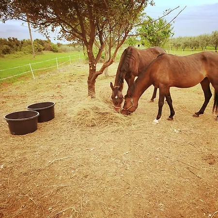 Kuca Za Odmor Aurora Casa de Férias