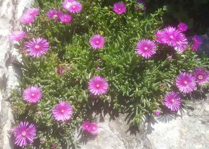 Kuca Za Odmor Aurora Prázdninový dům