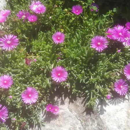 Kuca Za Odmor Aurora 度假居